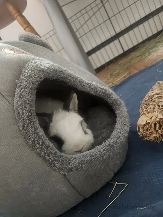 Inside and Cozy, the Best Way to Spend a Snowstorm