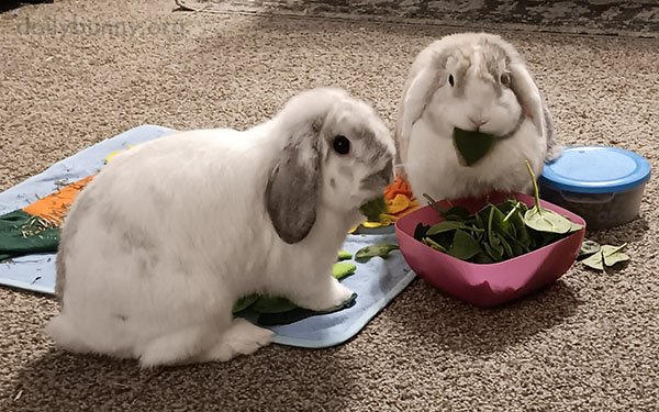 Don't Worry, Human, We're Besties Again