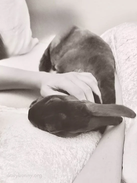 Just a Quick Nap... I Have Things to Do Tonight!