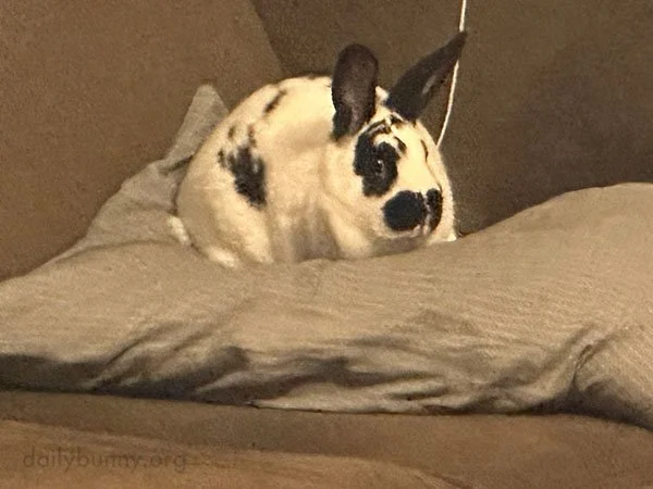 Is This Guy ...SPYING on Me?