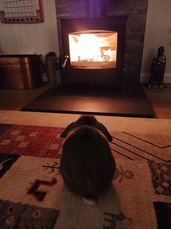 In the Running for the Coziest Pic Ever