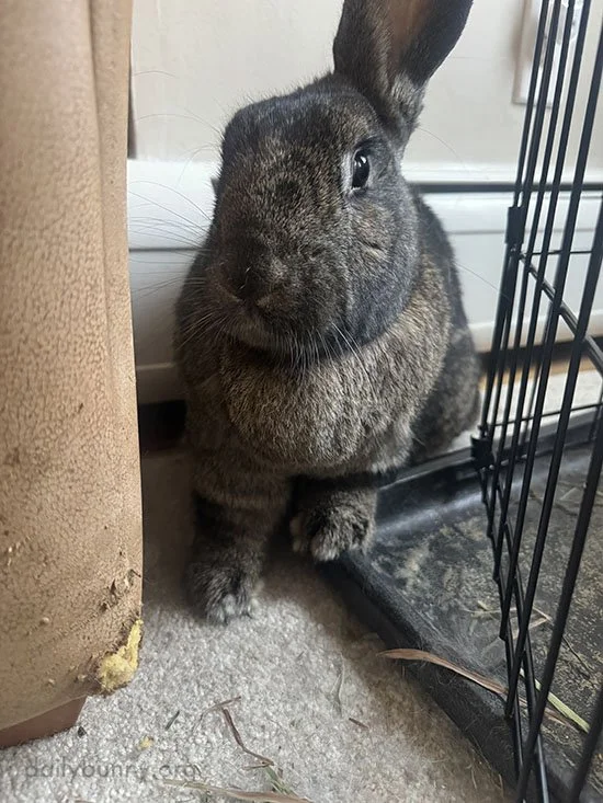 Wasn't Me, Nope, Uh-Uh