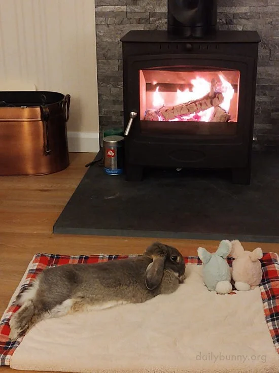 Bunny Has a Relaxing Evening by the Fire With Friends