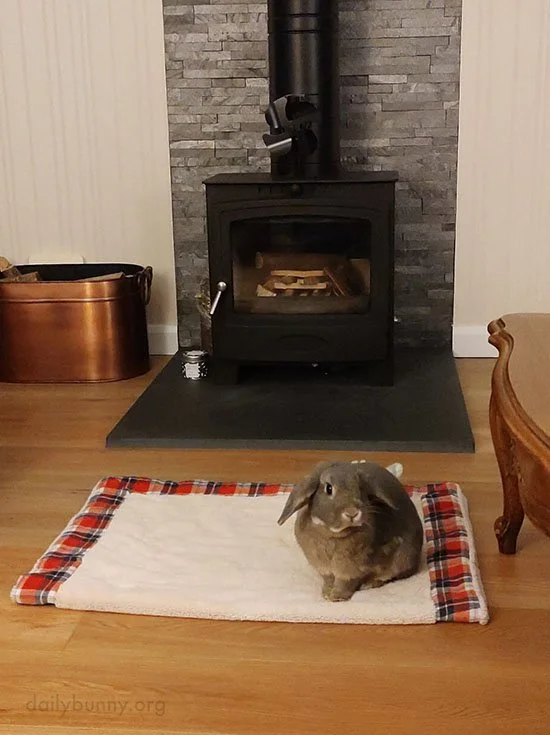 Where's My Fire, Human?