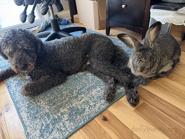 It Must Be Getting Close to Mealtime