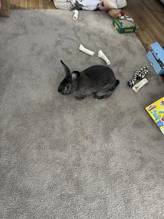 Where'd Everyone Go?