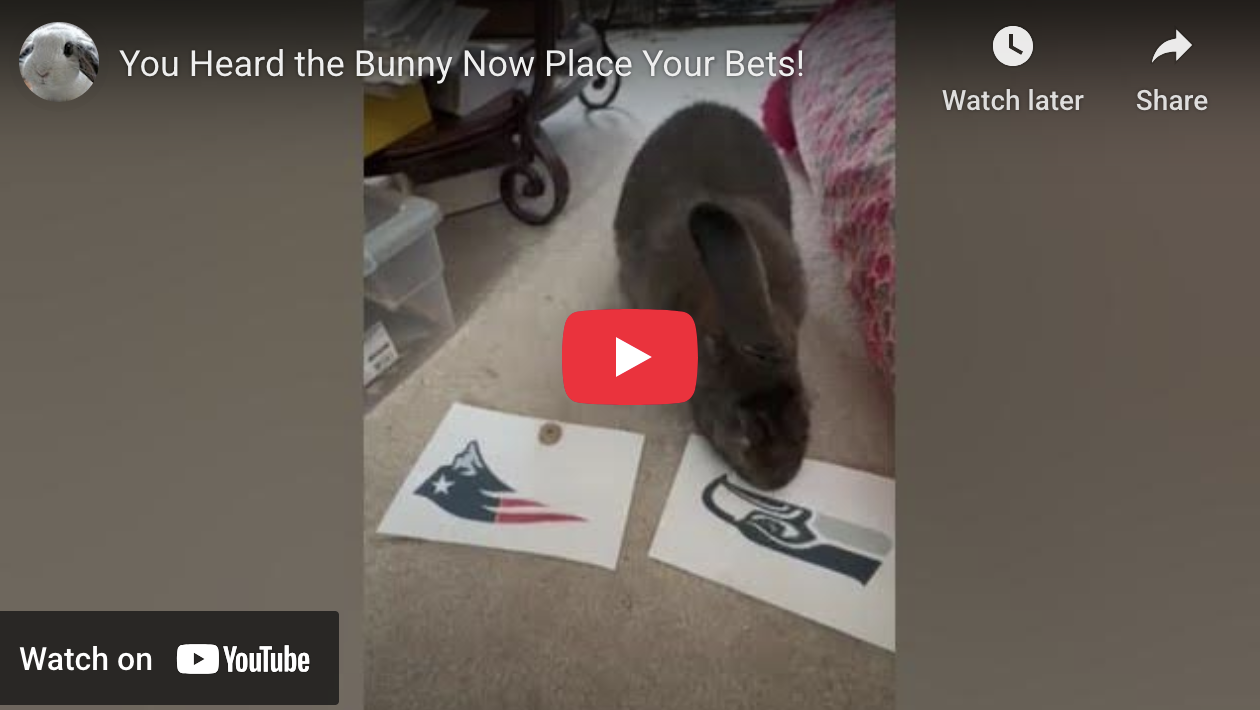 You Heard the Bunny - Now Place Your Bets!
