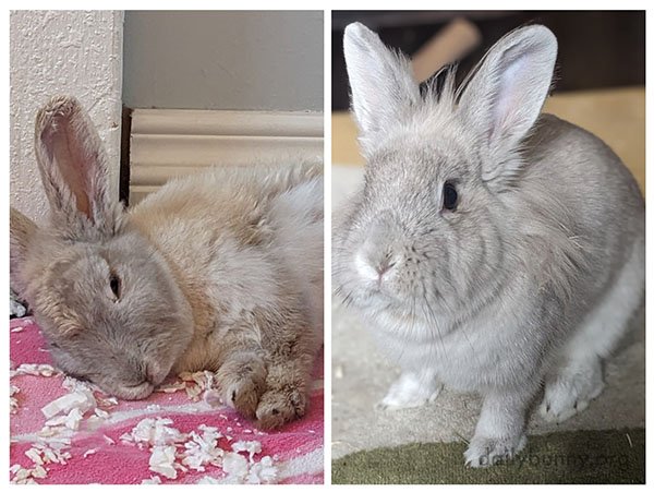 The Difference a Loving Home Makes