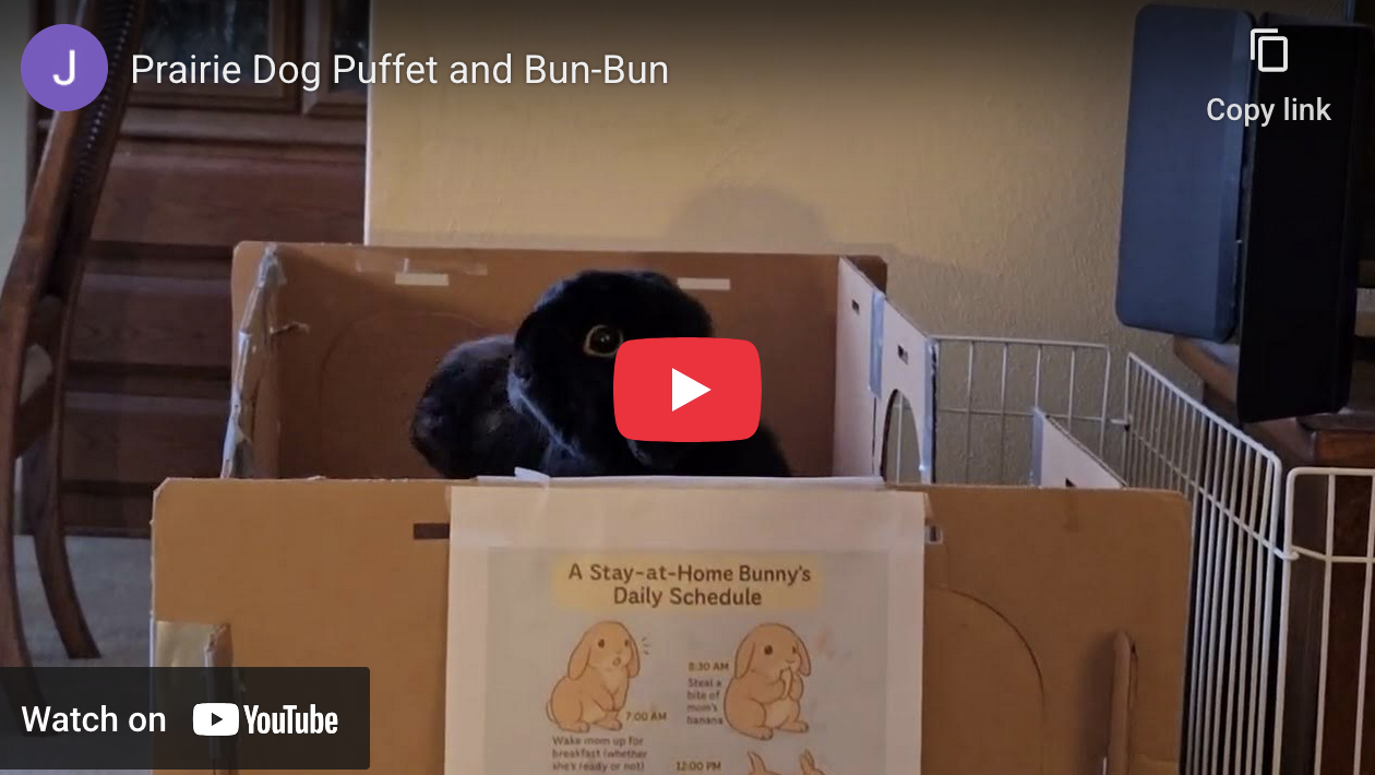 Big News: We're Now The Daily Prairie Dog!