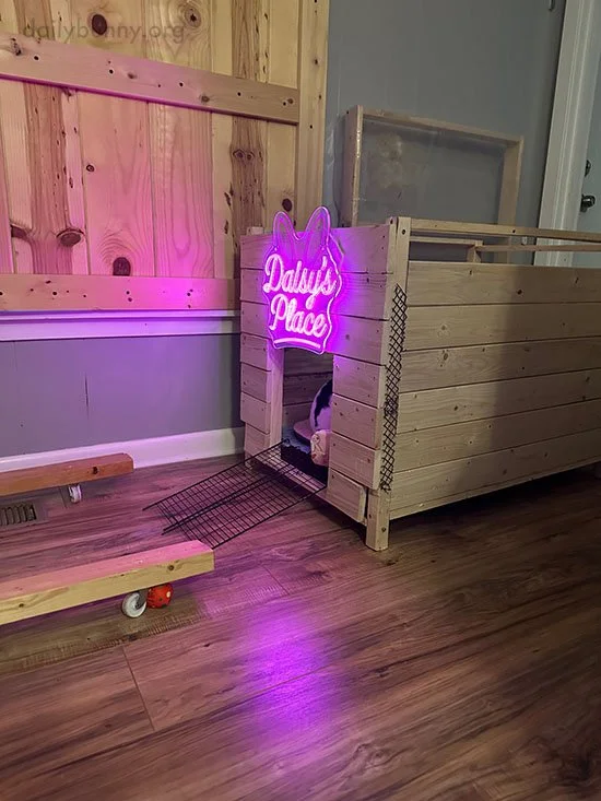 We Can Still See That Wee Rump, Bunny