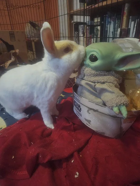 *Smooch* Good Morning, Grogu!