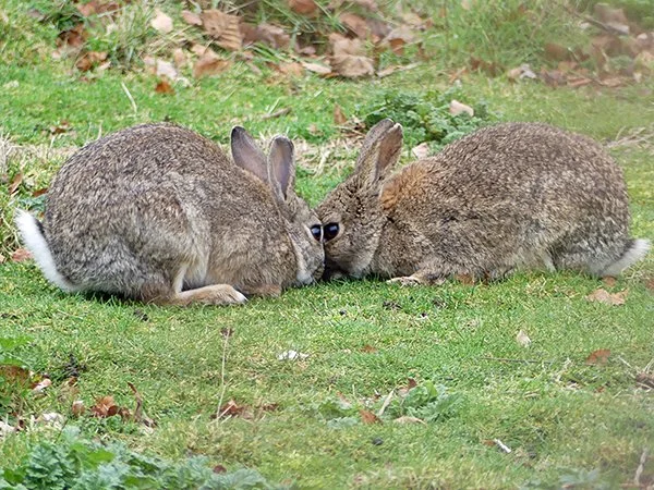 You and I See Eye to Eye