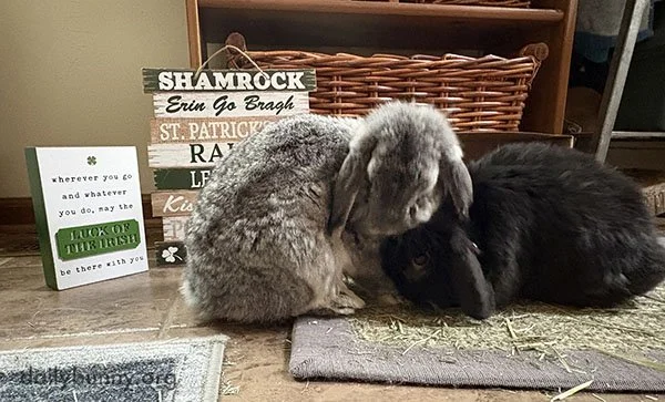 What Day Did You Say It Was? Huh. Whatever.