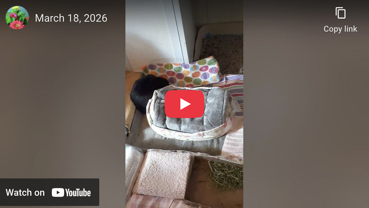 Return of the Mac, Redux