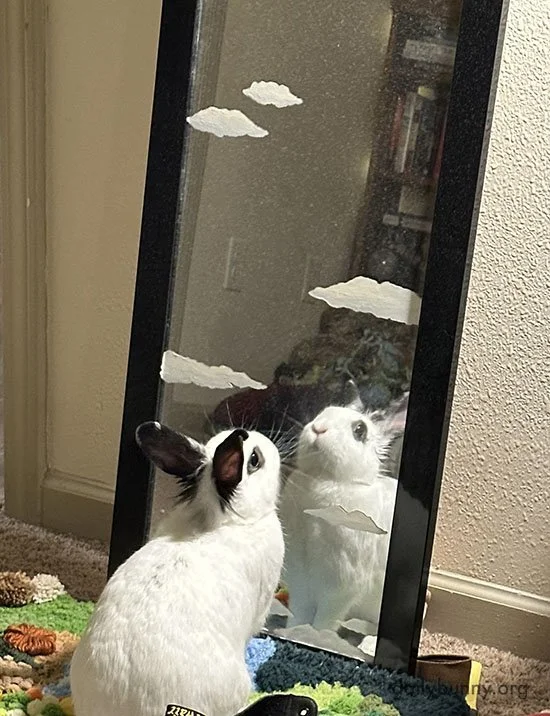 This Is Major Bun to Ground Control