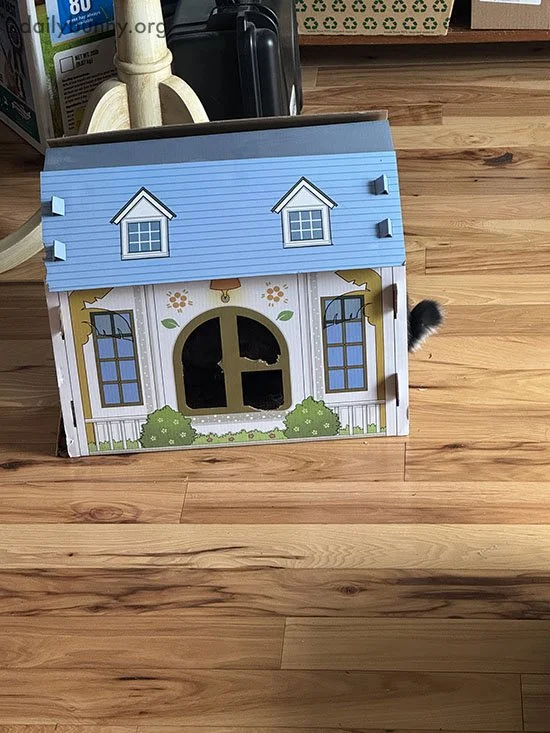 I Could've Sworn Bunny Was Around Here Somewh—