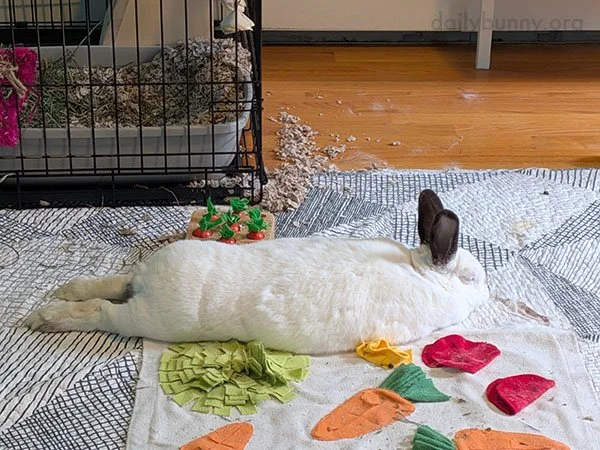 Stretching and Snoozing