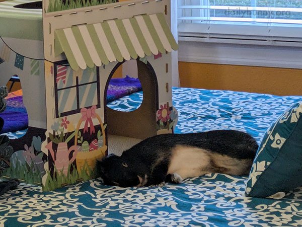 And Outside His Summer Home...