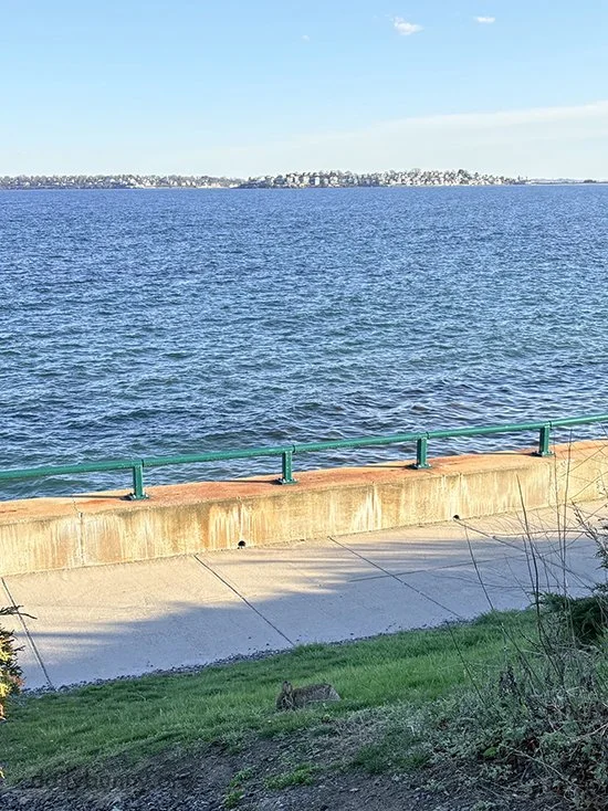 Bunny's Dinner With a View