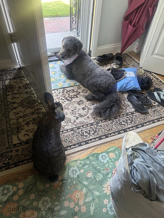 Neighborhood Watch, On Duty