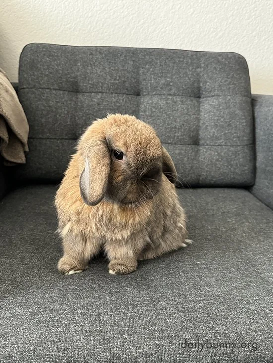 Sorry, Human, I Got Firsties