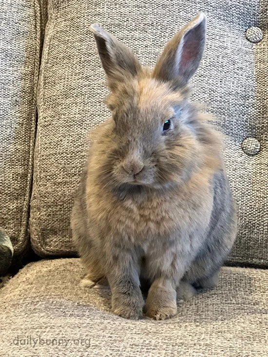 Show This Monday Who's Boss, Human
