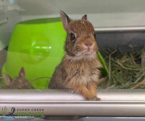 Excuse Me, I Woke Up Ten Second Ago, Where Is My Breakfast?