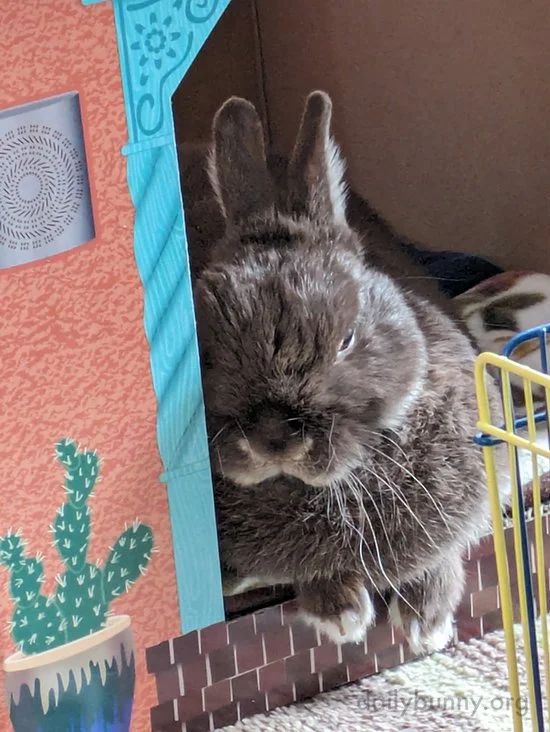 Throwback to the Most Interesting Bun in the World
