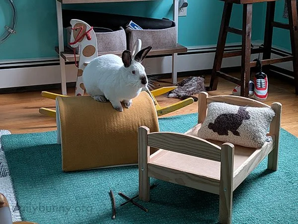 The Rug Is Lava