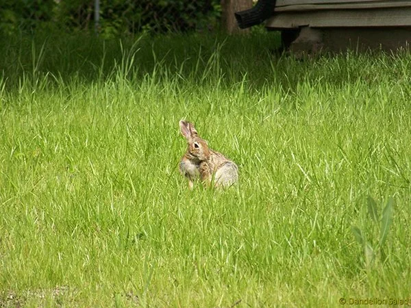 Just a Quick Foot Groom Before Hopping Off Again
