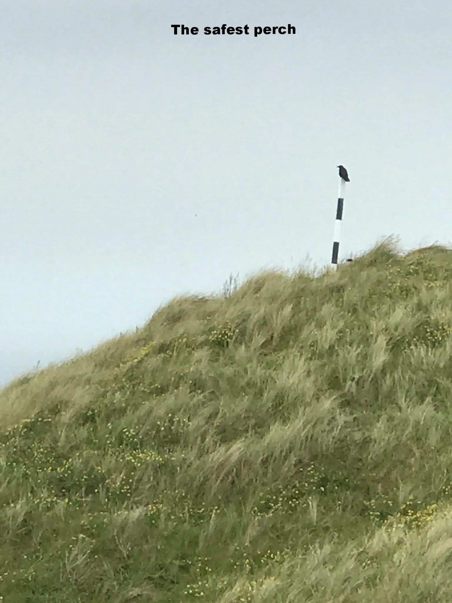 Perranporth Golf Club, 24th May 2017