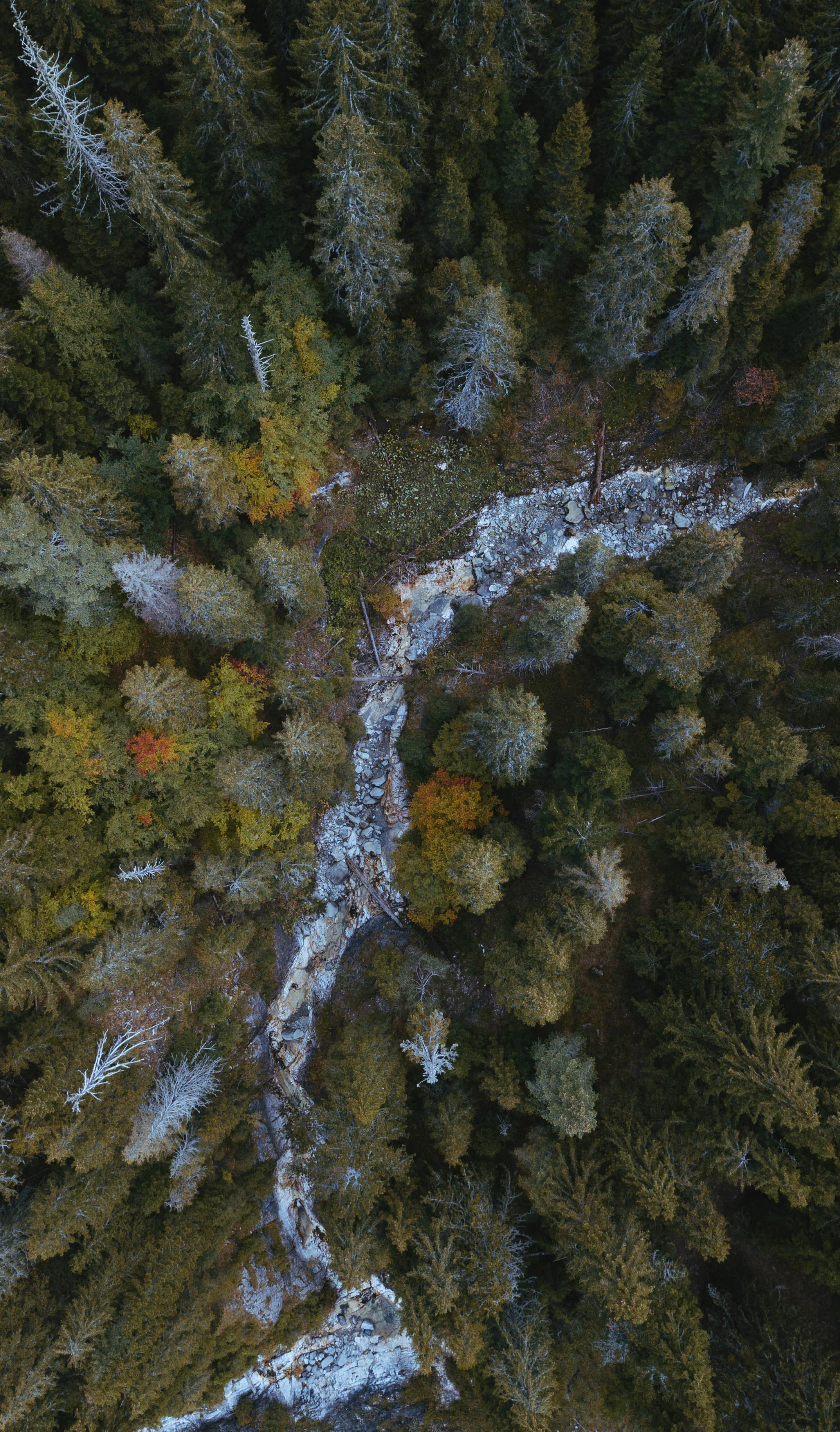 DJI_0244-2.jpg