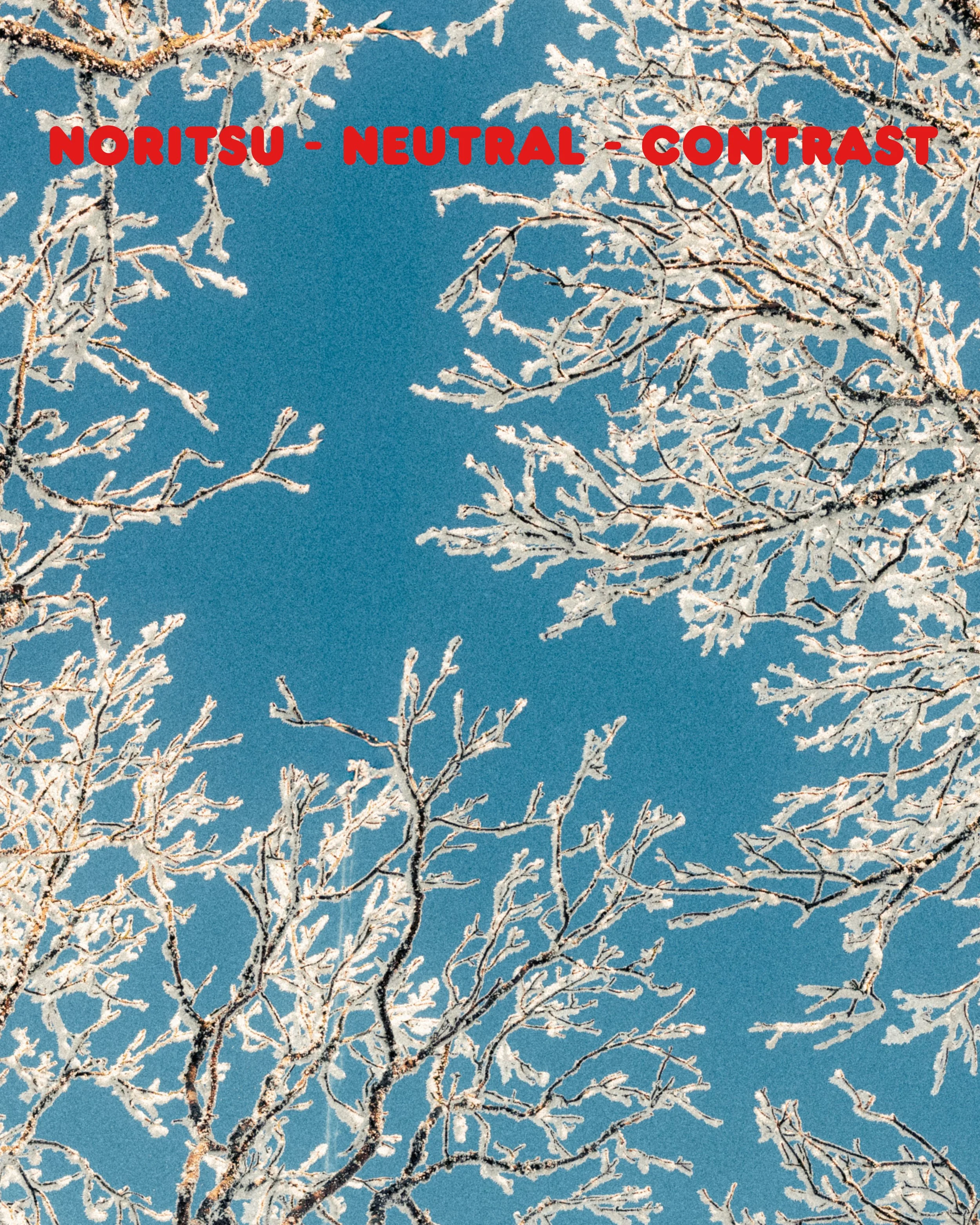 noritsu color contrast-31.jpg