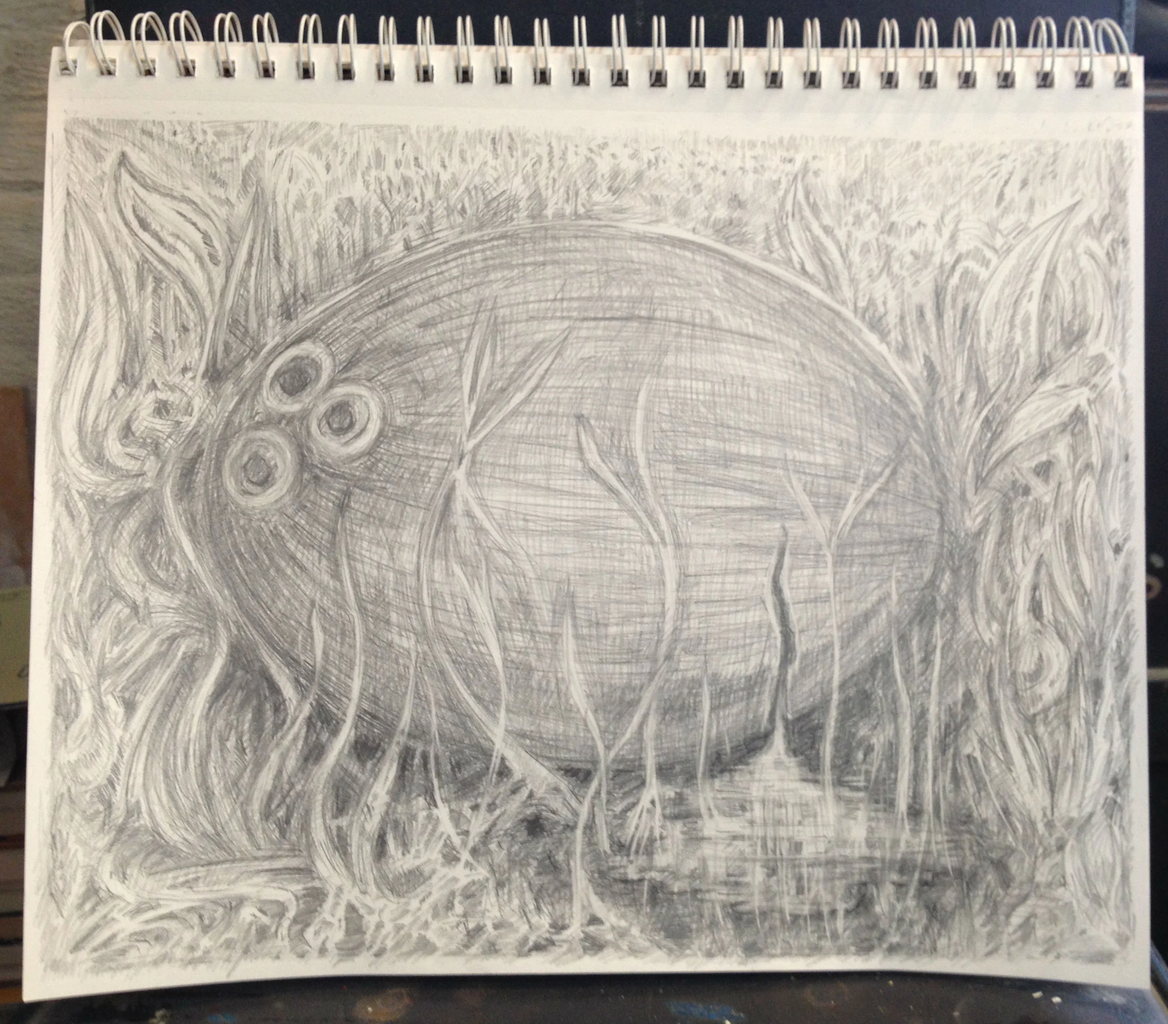 The Fallen Coconut (Copy)