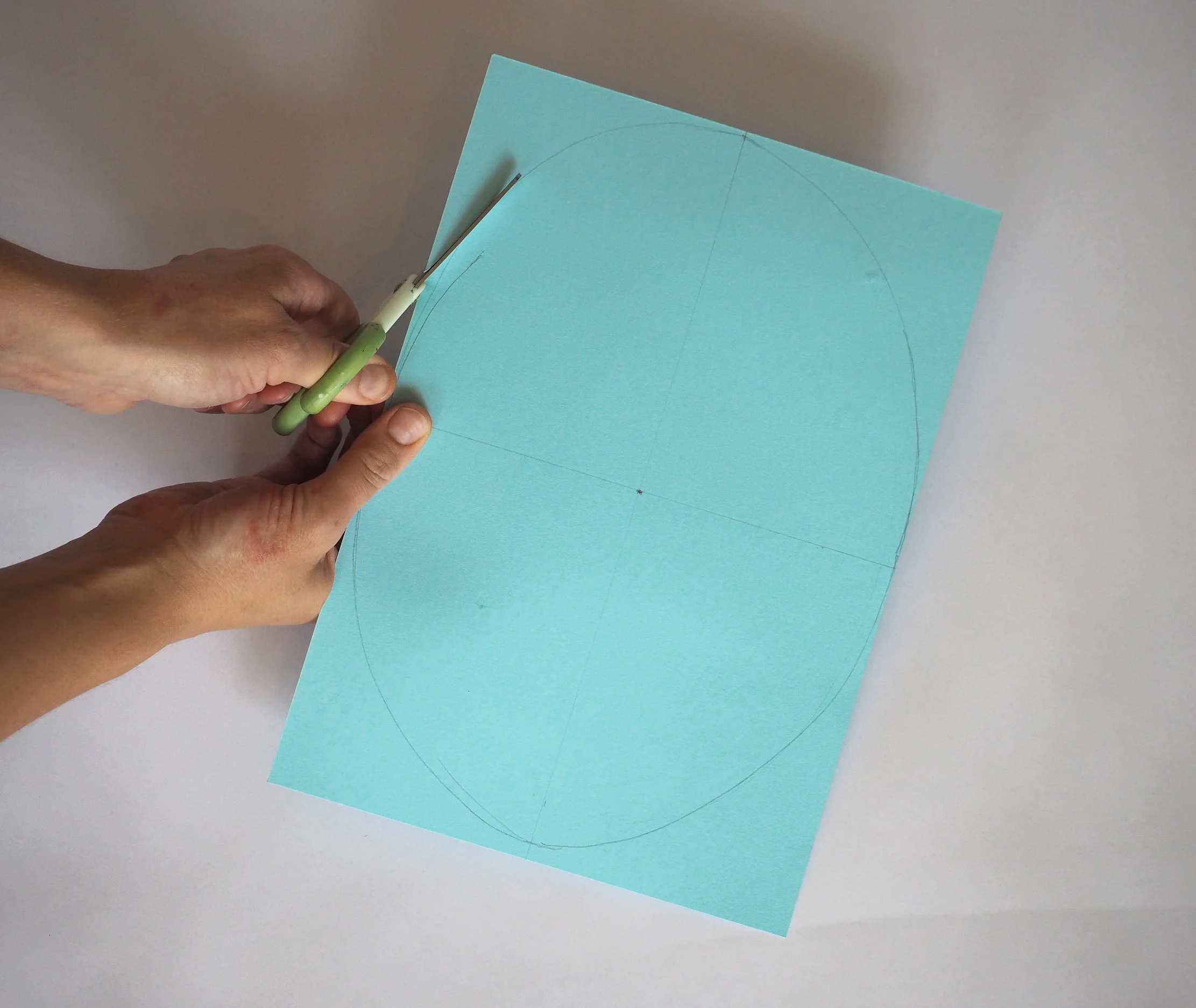  Now cut out this oval shape. 