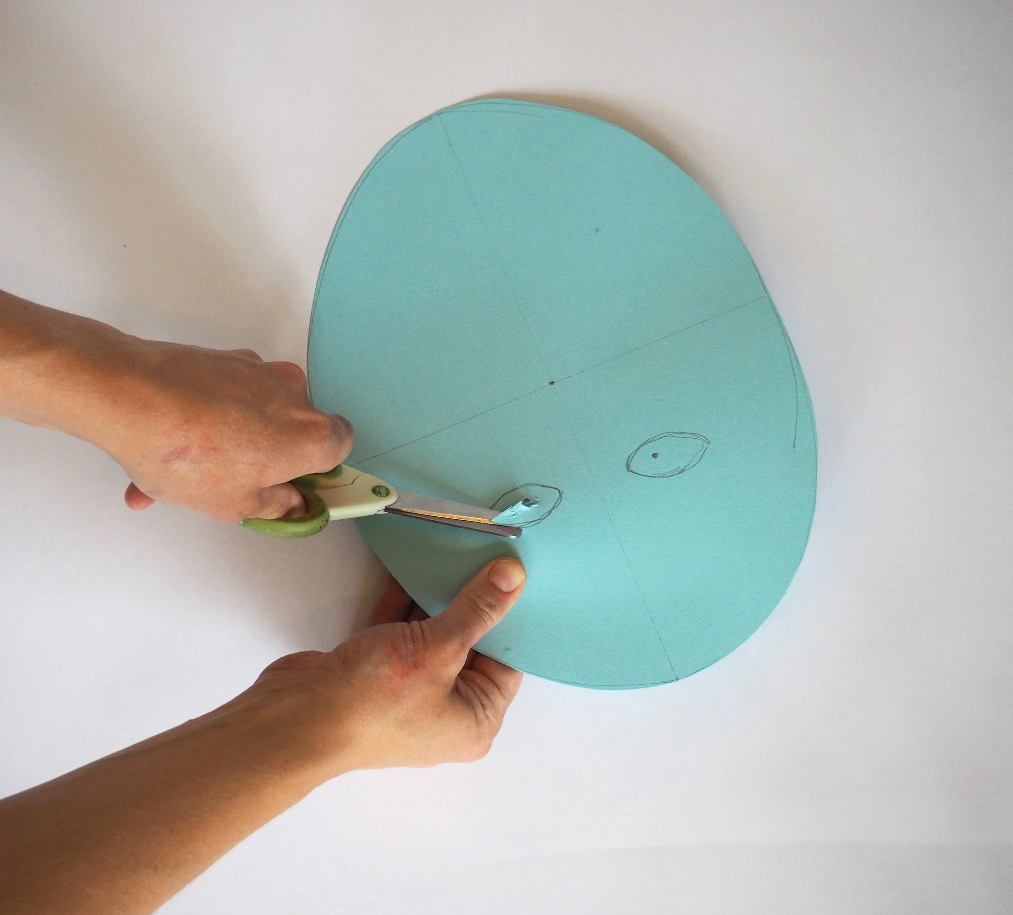  Cut out eye holes. Get an adult to help, if you find this part tricky. 