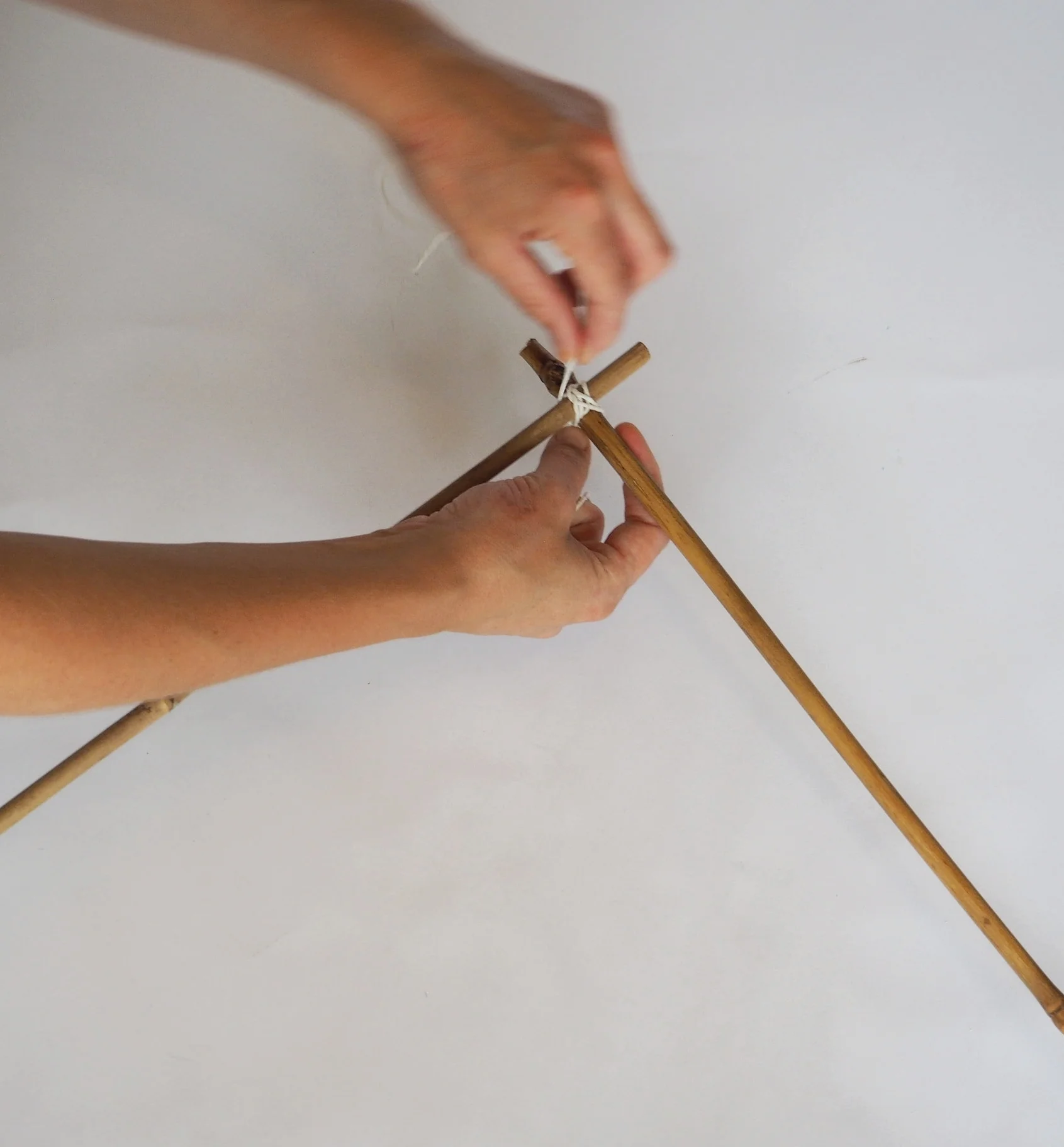  Bind each join, securing it with a double knot. This will hold the cane together well.  