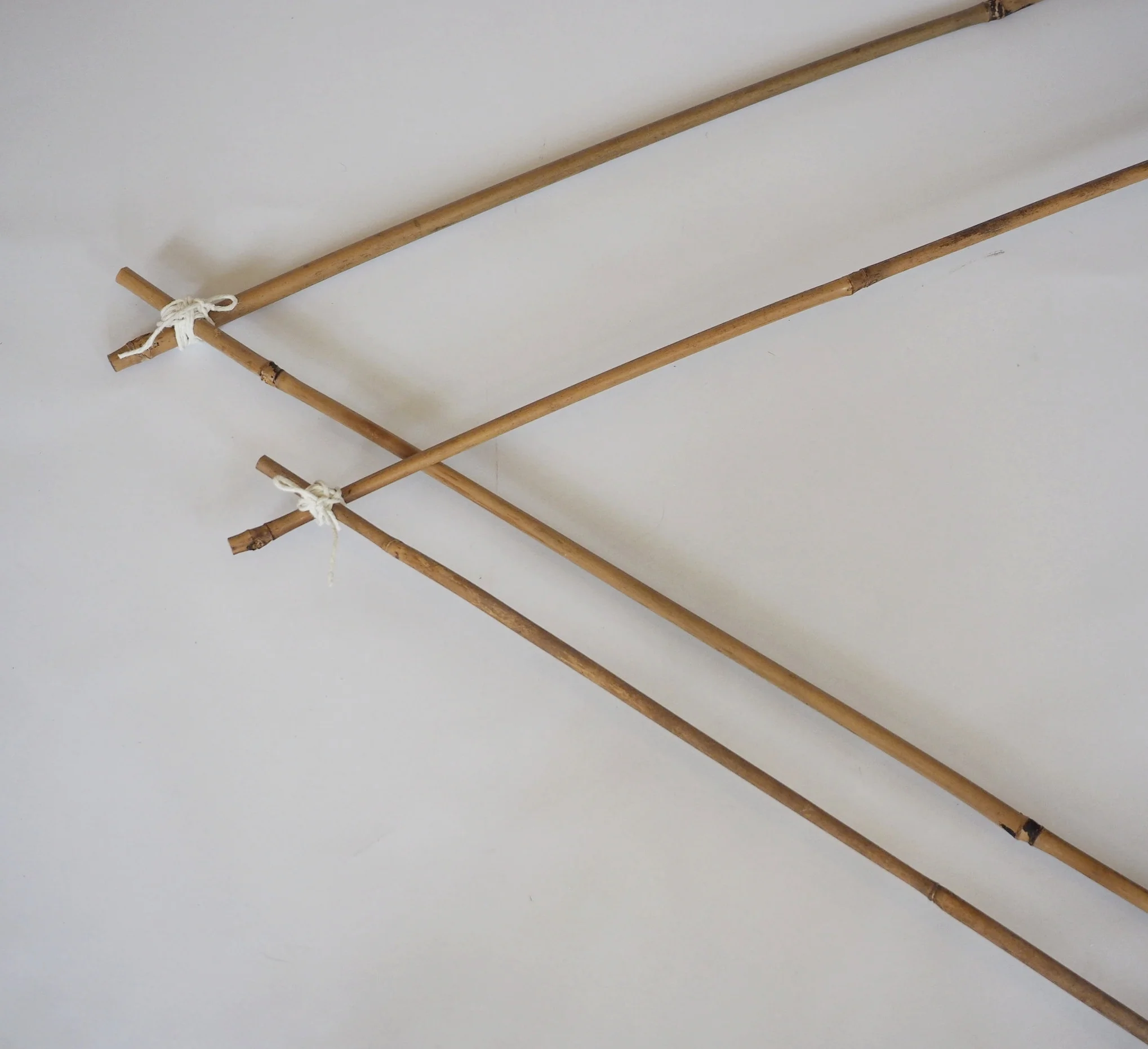  You should now have two equilateral triangles.  