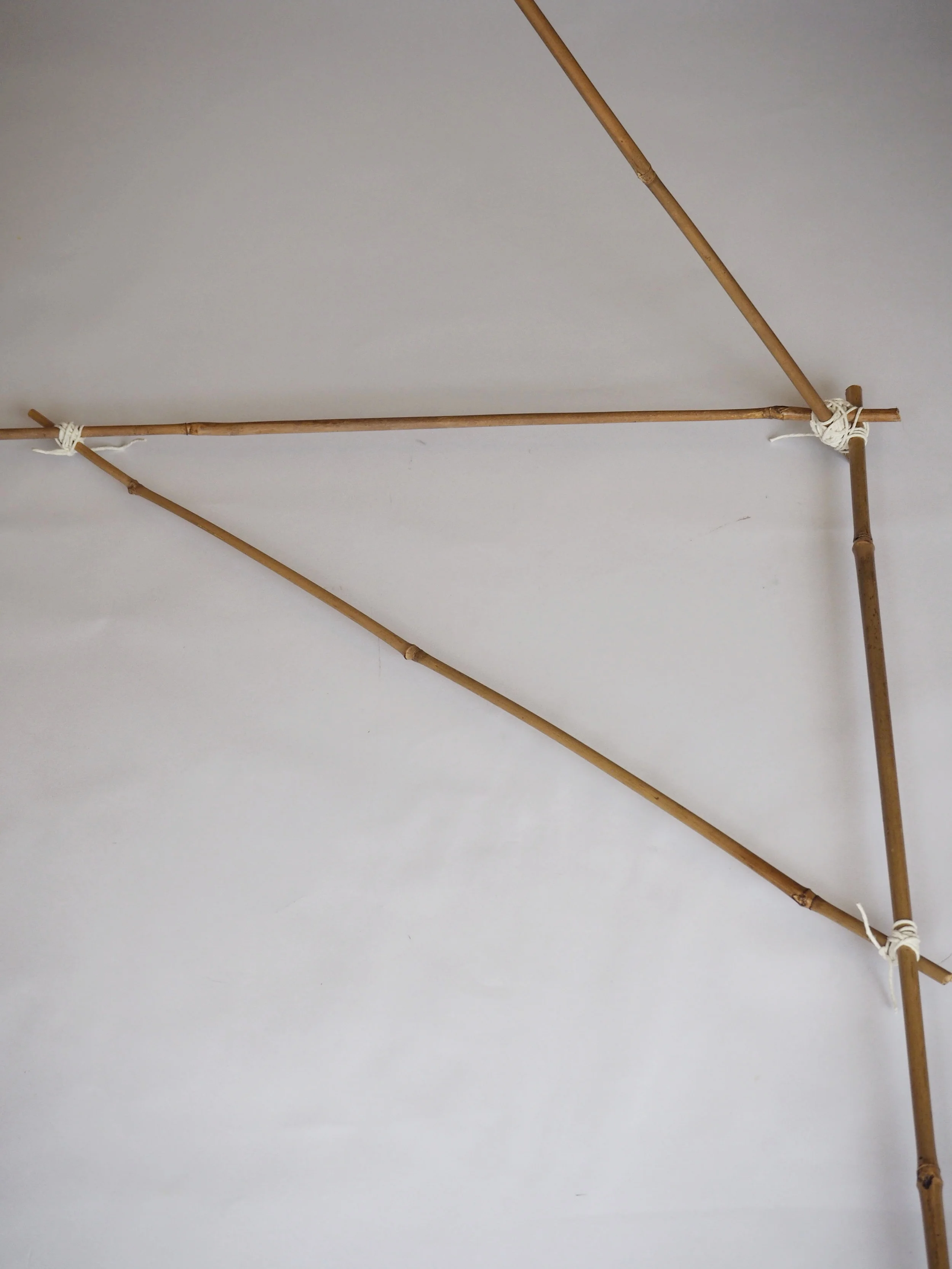  Now rotate the structure, so you can repeat this process on the other side of the long cane.  