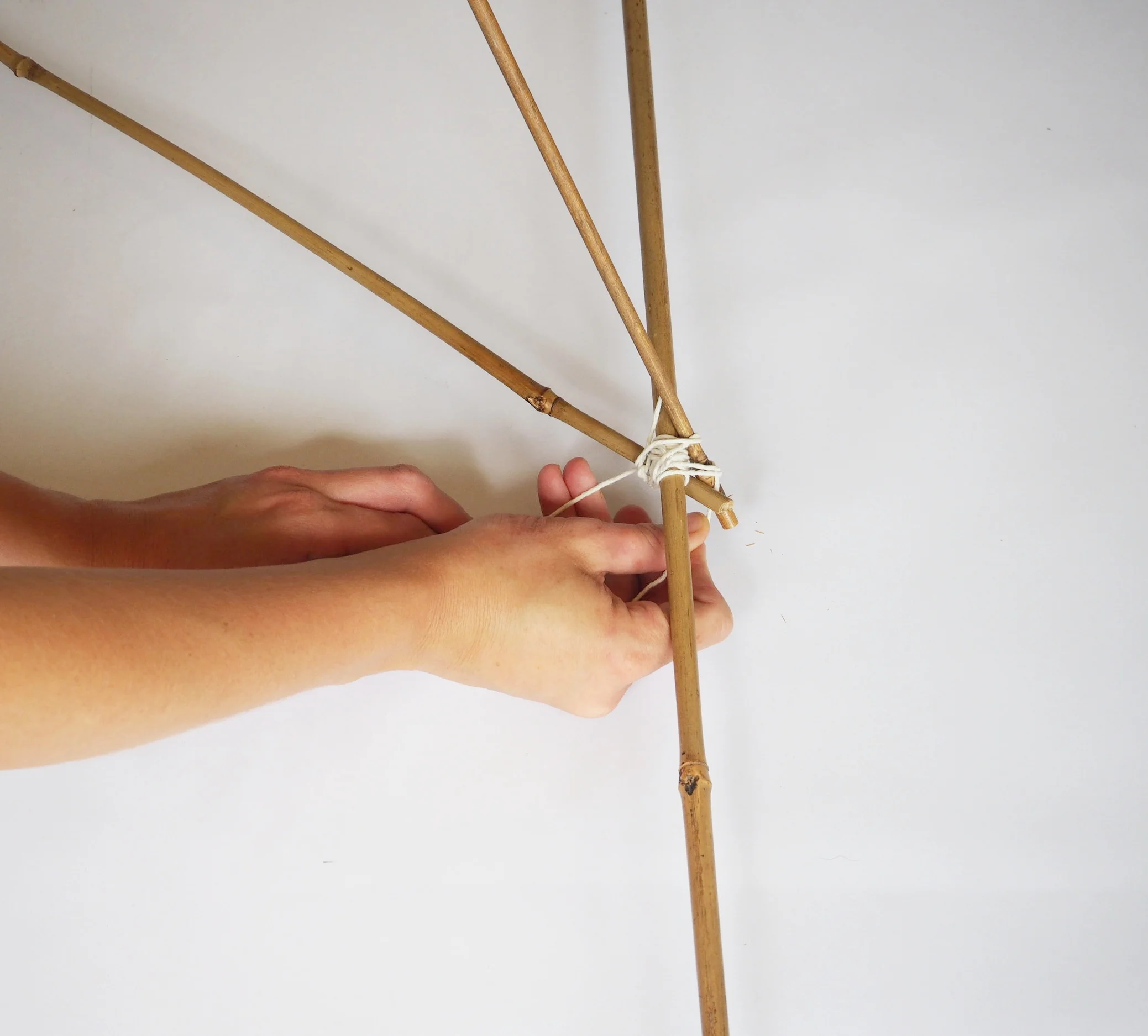  The two shorter canes will meet and can be tied together above the long cane. Now repeat this process with the two remaining short canes at the other end of the structure, creating a strong frame.  