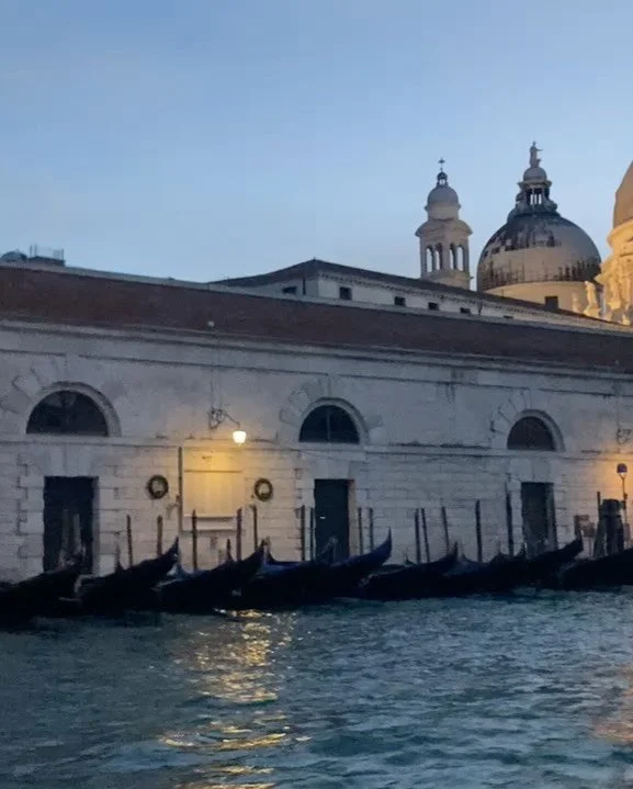 Home from a fantastic 5 days in Venice @homofaber 
Just a small selection of highlights and a few snaps of my WIP whilst there. 

A truly wonderful experience, meeting lots of interesting people, especially my fellow demonstrators @maria.start from @