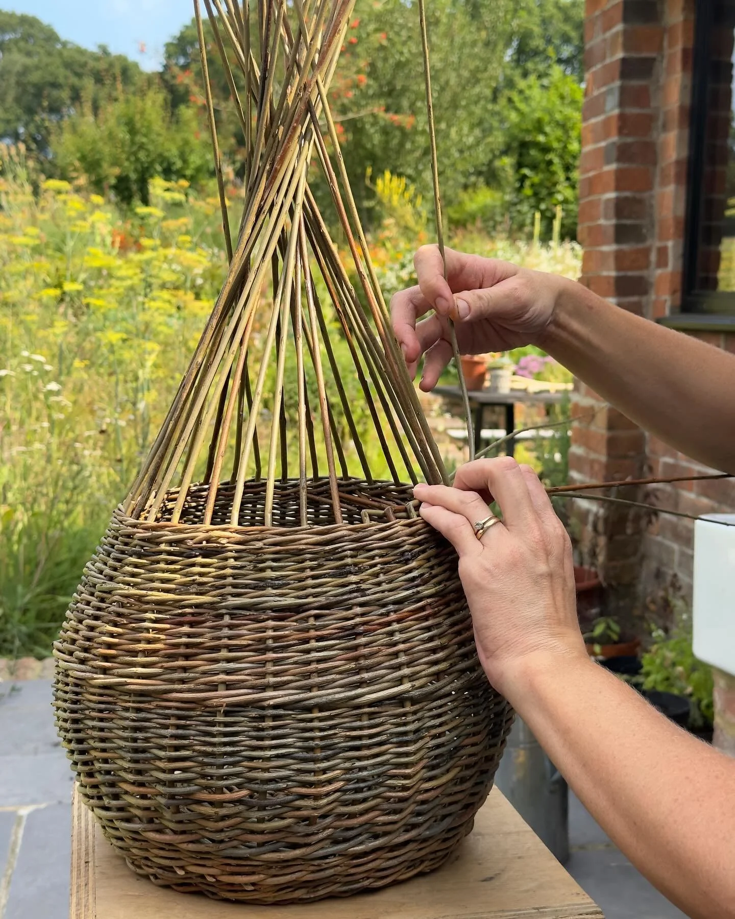 I&rsquo;m pleased to announce that I will be hosting a Willow Basketry workshop on the 8th and 9th November. 
Link in bio for more information and to book. 

#willowbasketry #willow #workshops #sussex #lewes