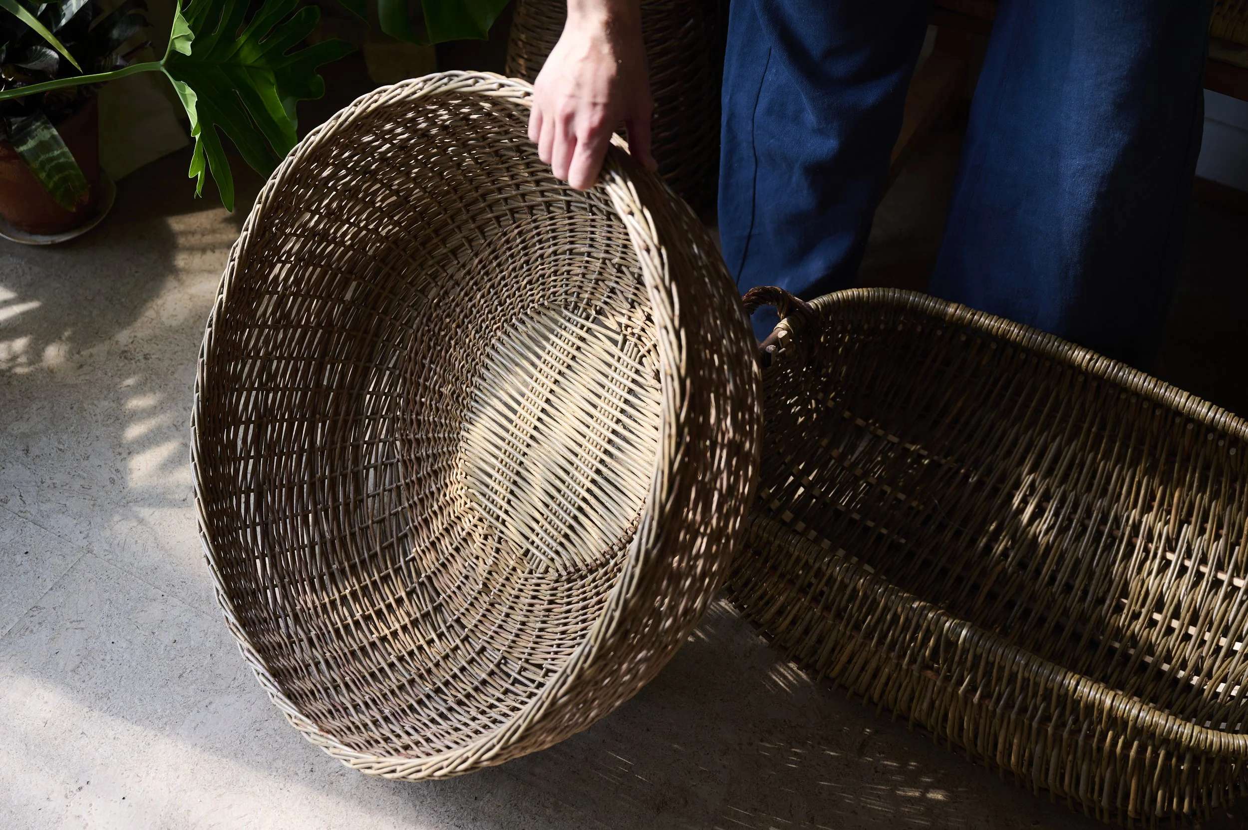 Matilda Grover_©SarahWeal_408 1.jpg