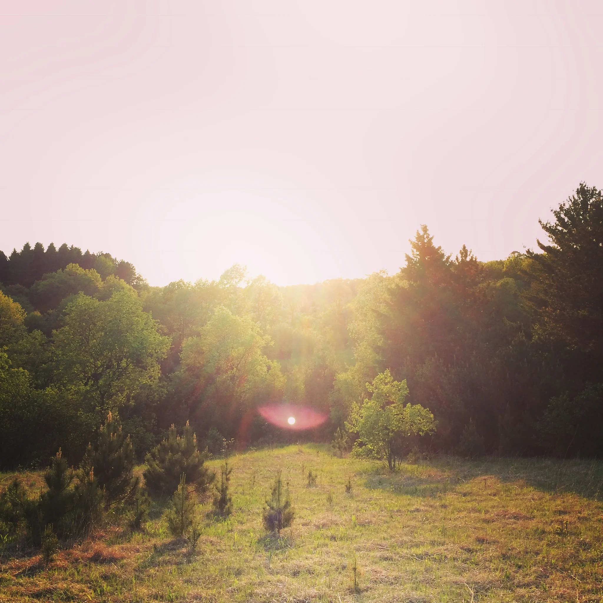 Kettle Moraine Red Oaks State Natural Area