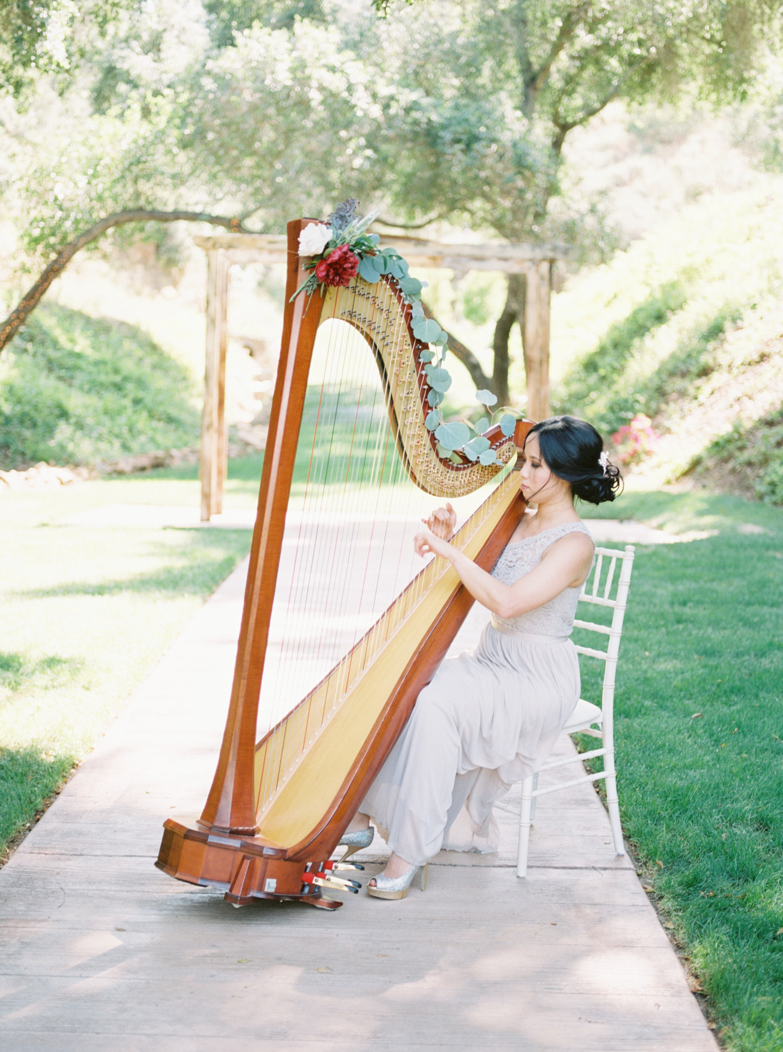 Solo - Harp.jpg