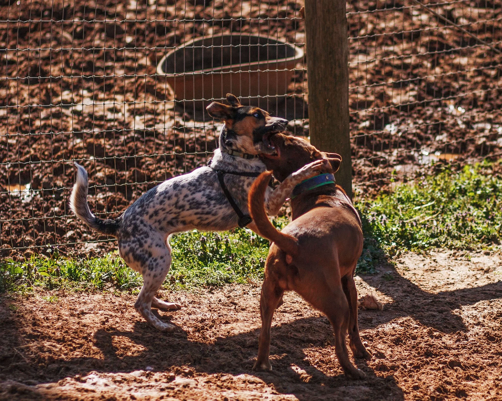 IMG_9425-Edit-1.jpg