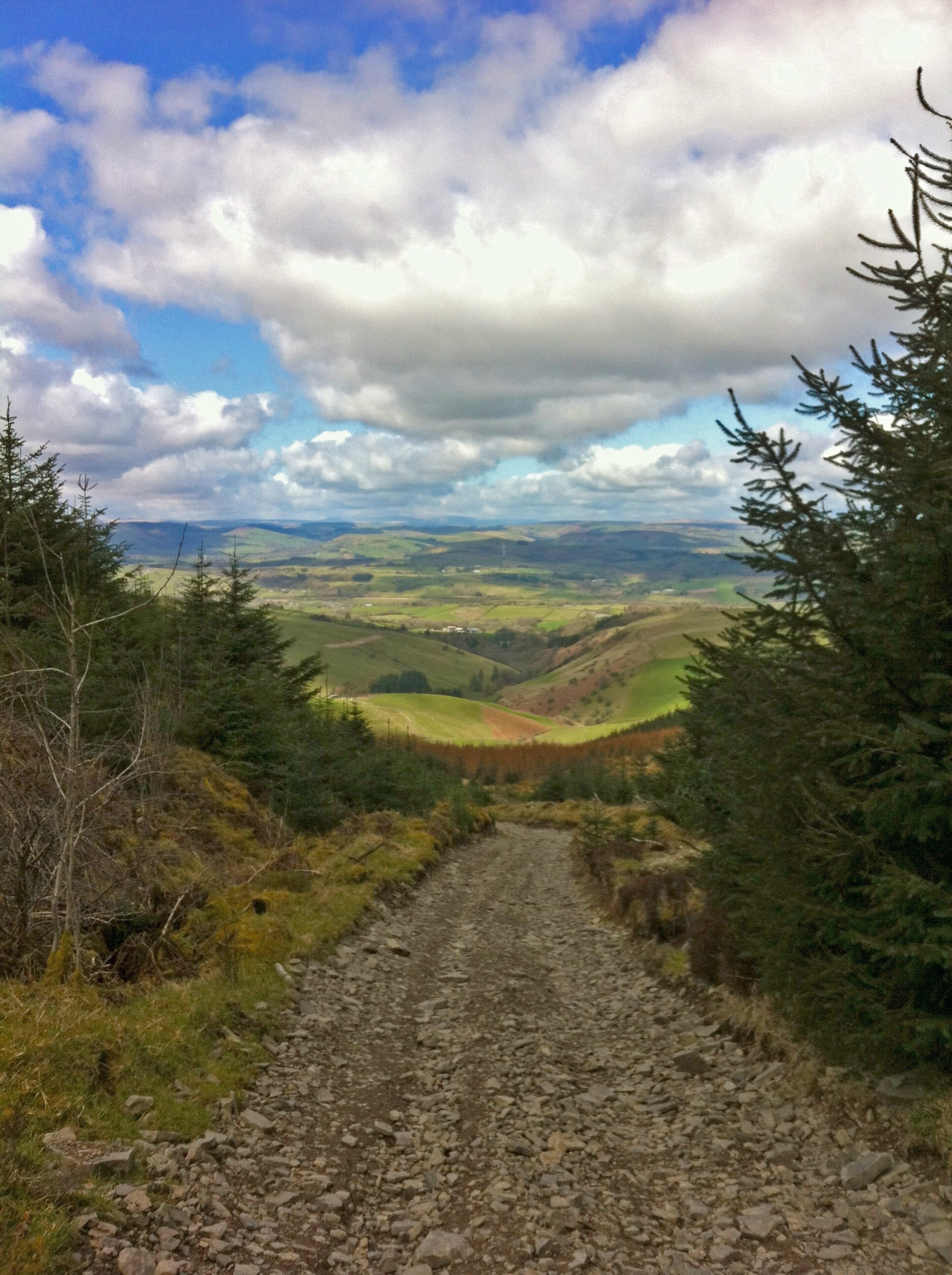 Track from Black Mixen towards Drovers Retreat