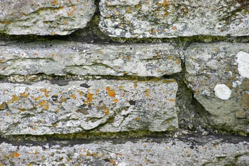 Stones of barn, with lichen
