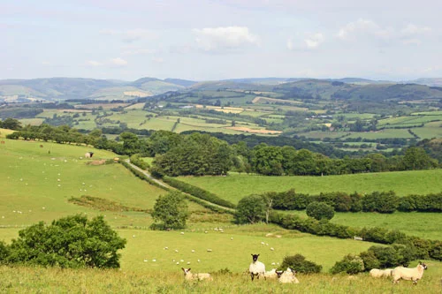 view near Graig Farm, looking west