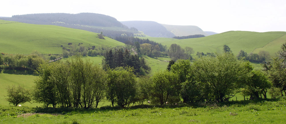 The Radnor Forest from Graig Farm